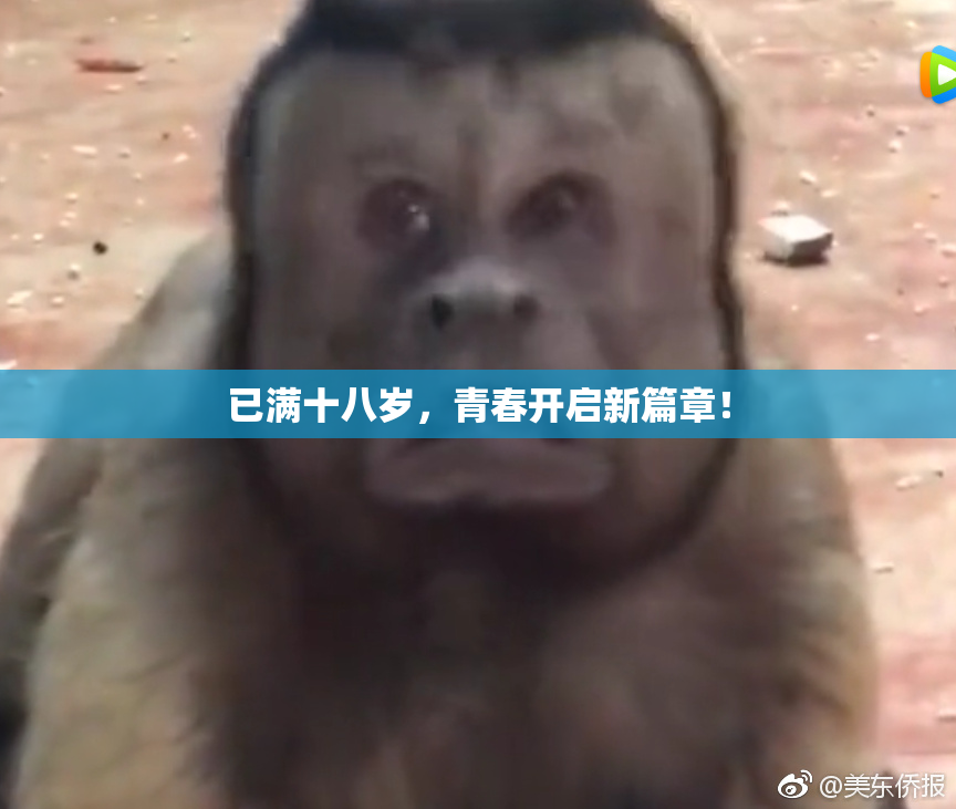 已满十八岁，青春开启新篇章！