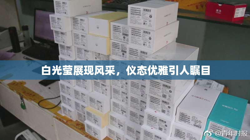 白光莹展现风采，仪态优雅引人瞩目