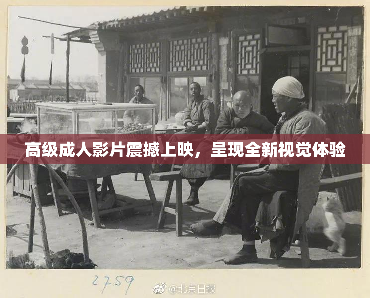 高级成人影片震撼上映，呈现全新视觉体验