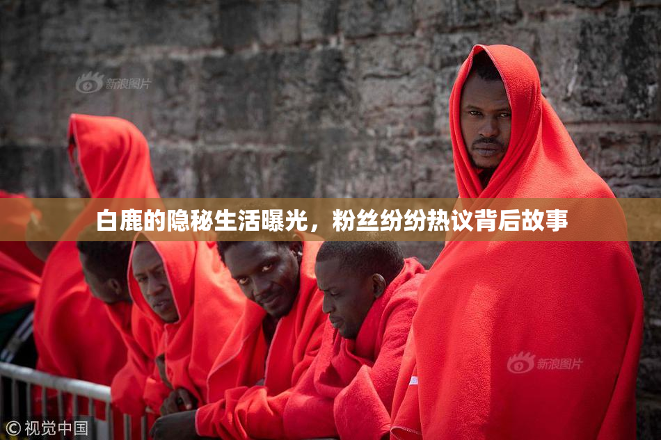白鹿的隐秘生活曝光，粉丝纷纷热议背后故事