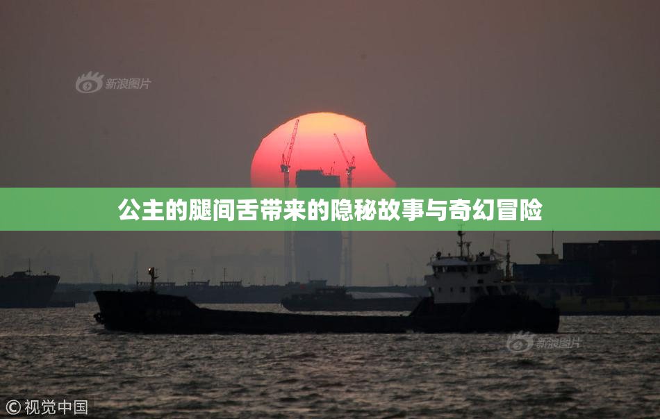 公主的腿间舌带来的隐秘故事与奇幻冒险