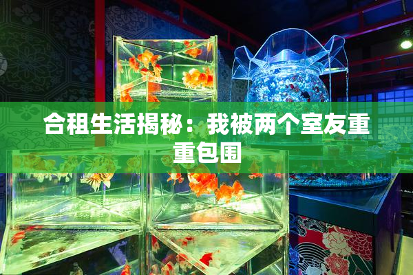 合租生活揭秘：我被两个室友重重包围