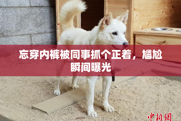 忘穿内裤被同事抓个正着，尴尬瞬间曝光