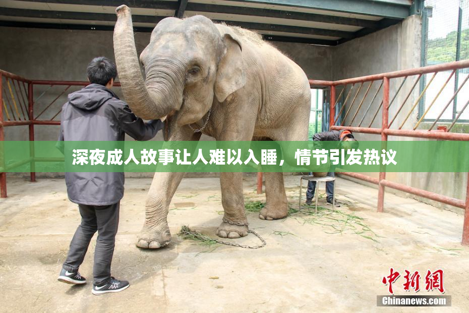 深夜成人故事让人难以入睡，情节引发热议