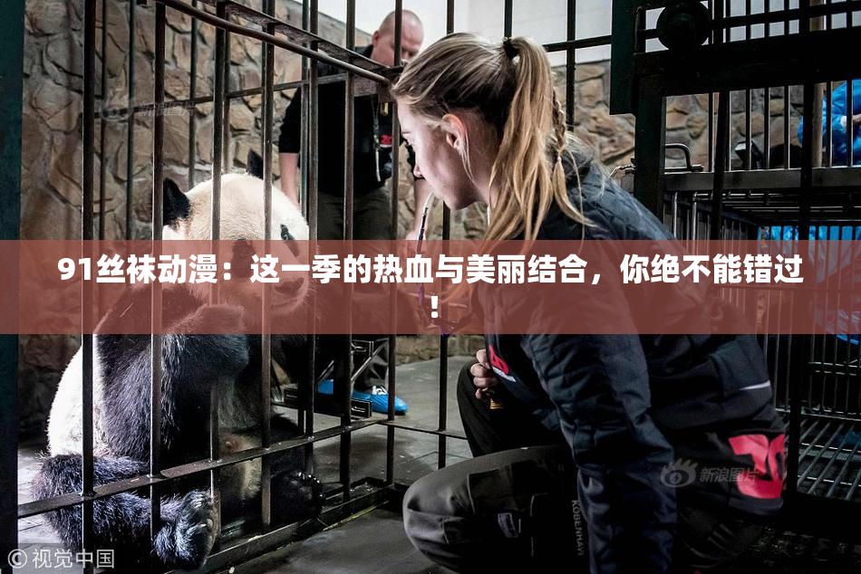 91丝袜动漫：这一季的热血与美丽结合，你绝不能错过！