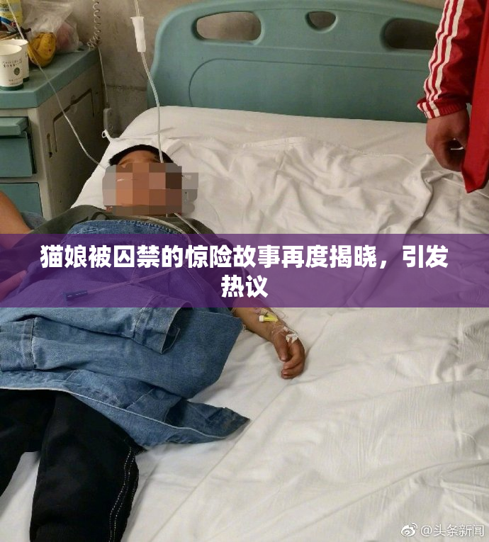 猫娘被囚禁的惊险故事再度揭晓，引发热议