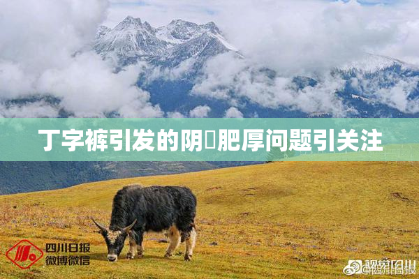 丁字裤引发的阴脣肥厚问题引关注