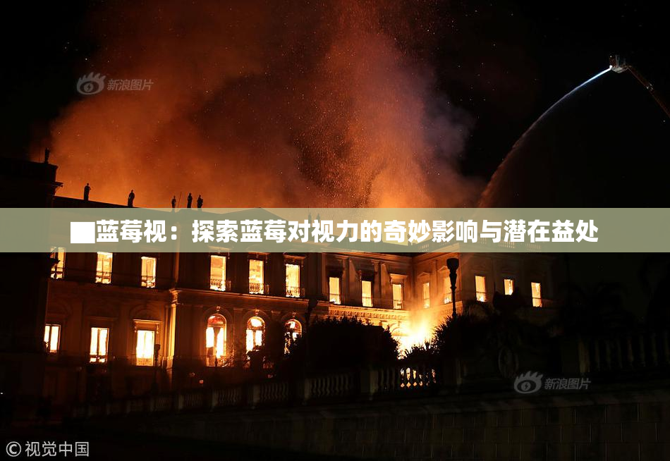 ▇蓝莓视：探索蓝莓对视力的奇妙影响与潜在益处