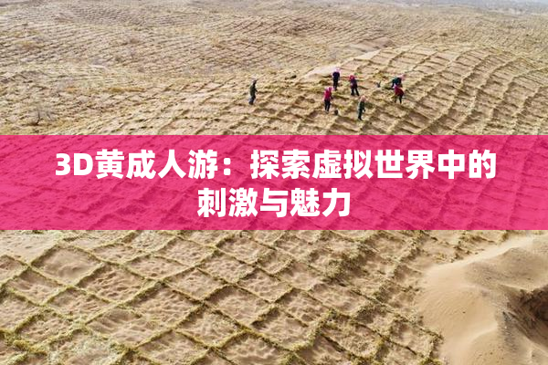 3D黄成人游：探索虚拟世界中的刺激与魅力