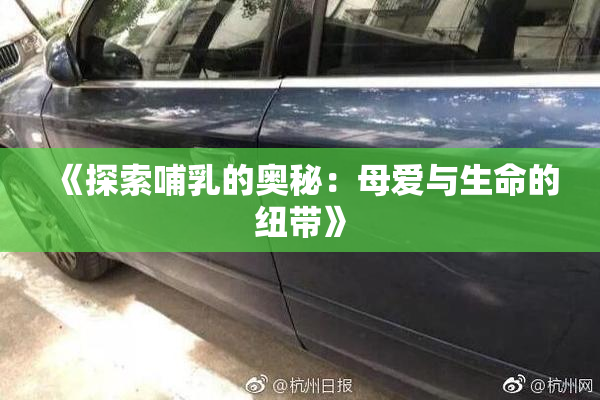 《探索哺乳的奥秘：母爱与生命的纽带》