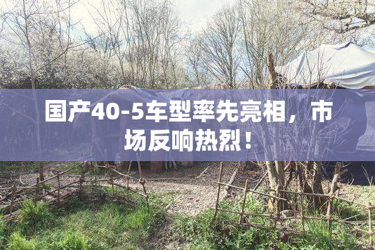 国产40-5车型率先亮相，市场反响热烈！