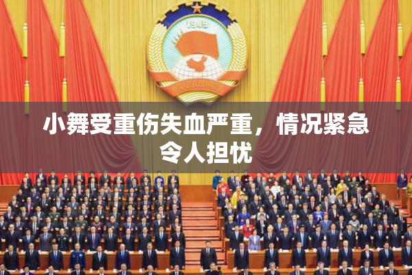 小舞受重伤失血严重，情况紧急令人担忧