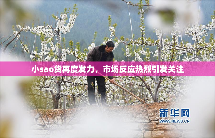 小sao货再度发力，市场反应热烈引发关注