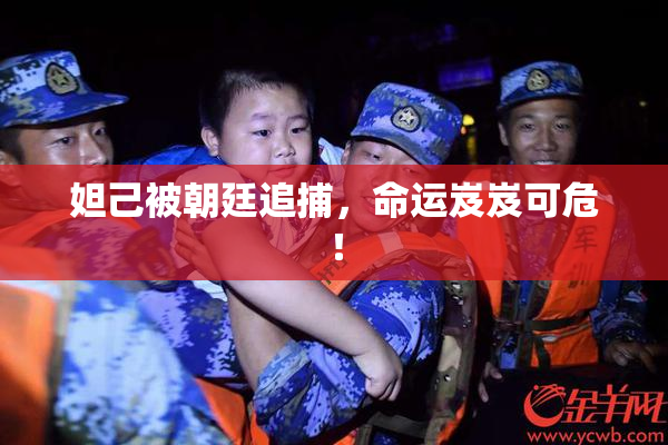 妲己被朝廷追捕，命运岌岌可危！
