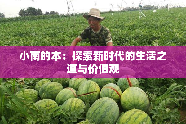 小南的本：探索新时代的生活之道与价值观