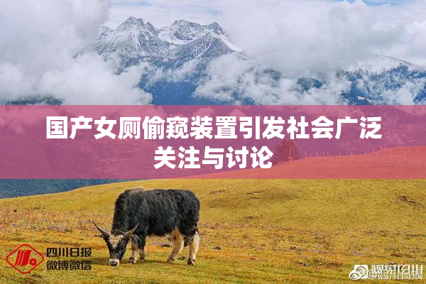 国产女厕偷窥装置引发社会广泛关注与讨论