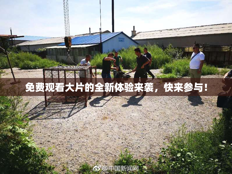 免费观看大片的全新体验来袭，快来参与！