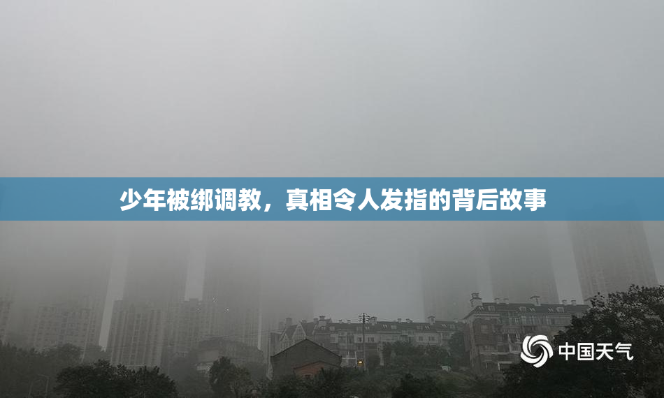 少年被绑调教，真相令人发指的背后故事