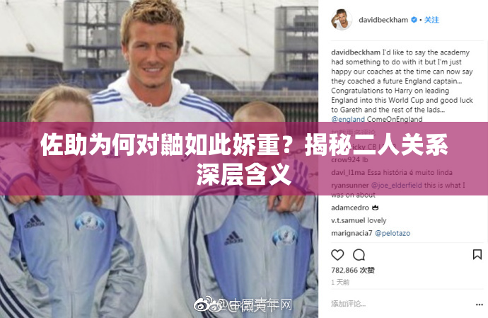 佐助为何对鼬如此娇重？揭秘二人关系深层含义