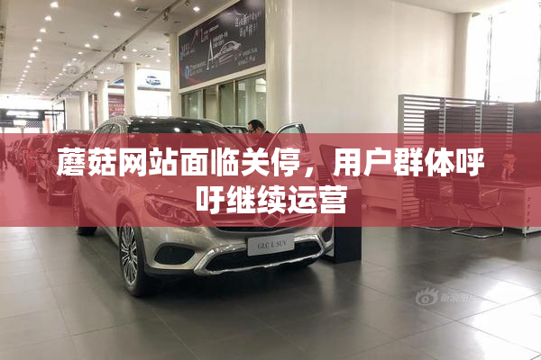 蘑菇网站面临关停，用户群体呼吁继续运营