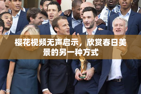 樱花视频无声启示，欣赏春日美景的另一种方式