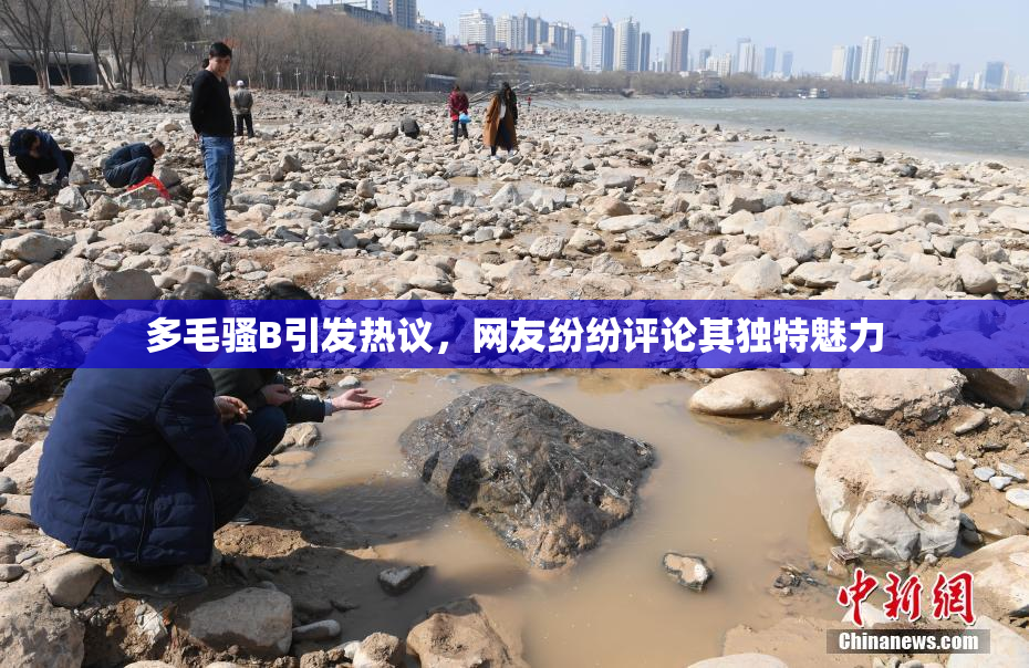多毛骚B引发热议，网友纷纷评论其独特魅力