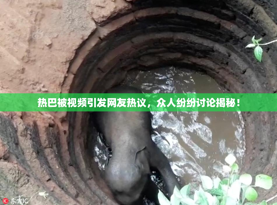热巴被视频引发网友热议，众人纷纷讨论揭秘！