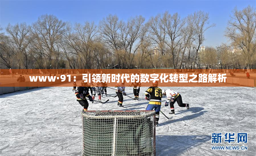 www·91：引领新时代的数字化转型之路解析
