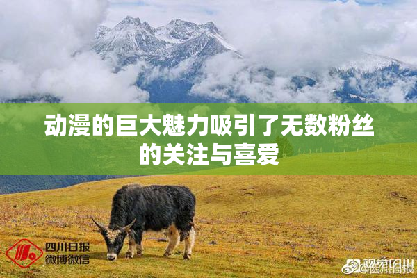 动漫的巨大魅力吸引了无数粉丝的关注与喜爱
