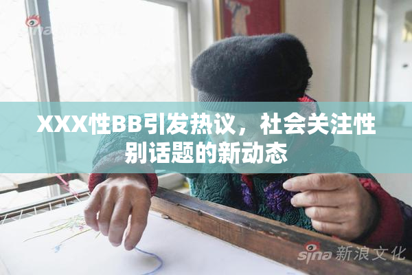 XXX性BB引发热议，社会关注性别话题的新动态
