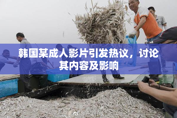 韩国某成人影片引发热议，讨论其内容及影响