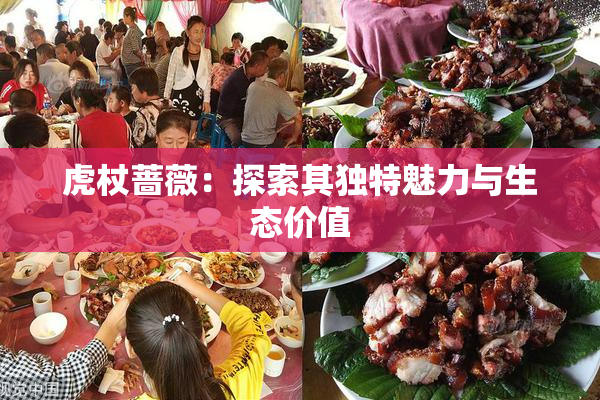 虎杖蔷薇：探索其独特魅力与生态价值