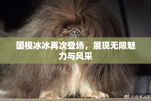 国模冰冰再次登场，展现无限魅力与风采