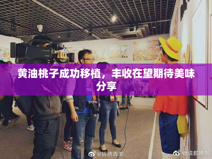 黄油桃子成功移植，丰收在望期待美味分享