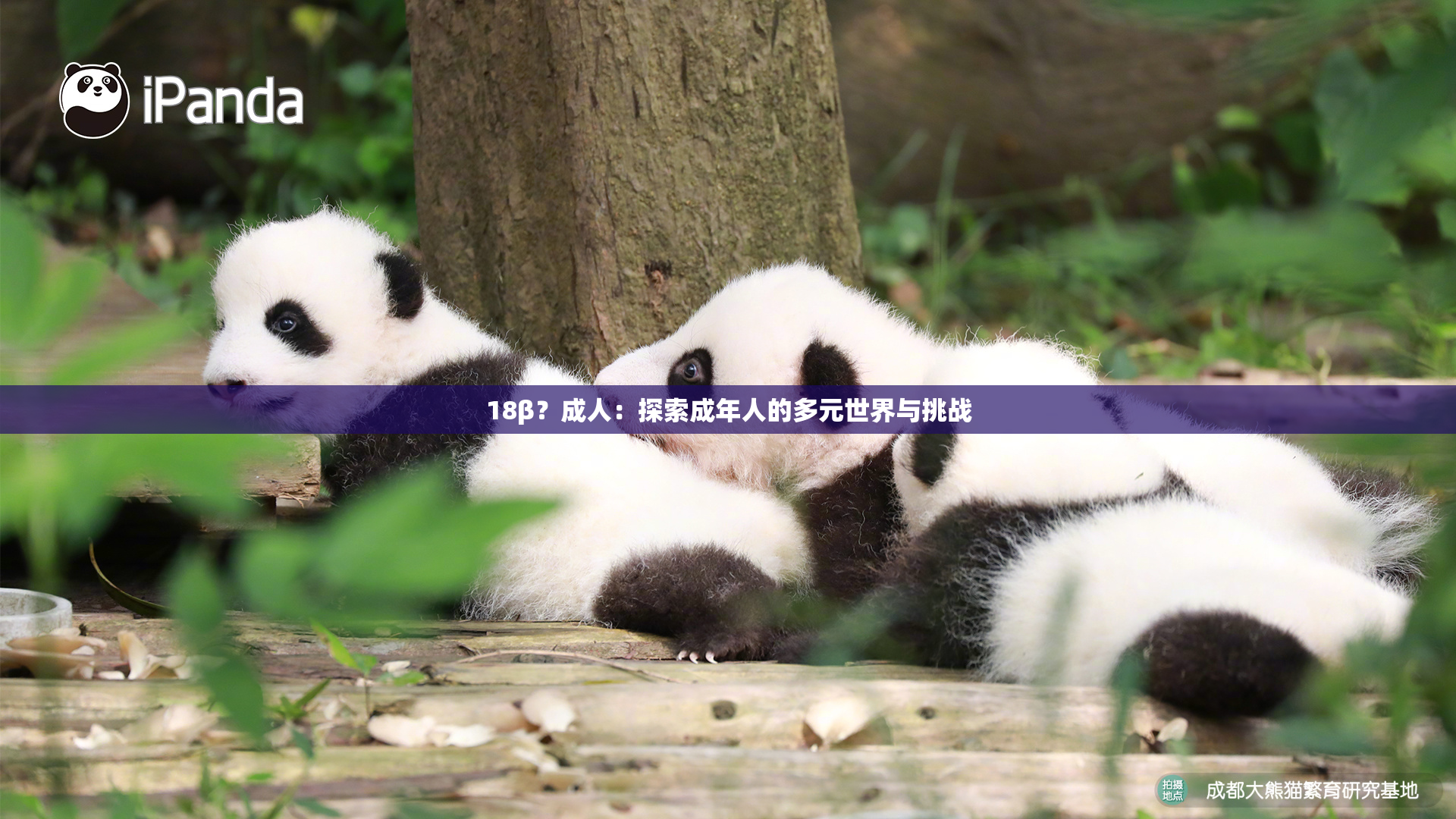18β？成人：探索成年人的多元世界与挑战