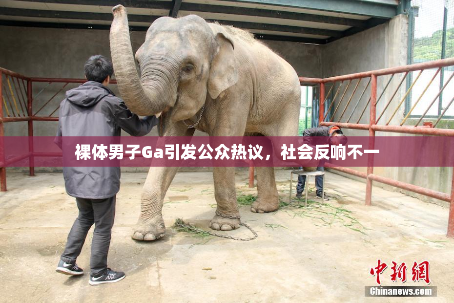裸体男子Ga引发公众热议，社会反响不一