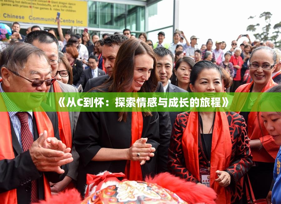 《从C到怀：探索情感与成长的旅程》