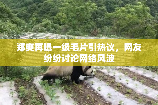 郑爽再曝一级毛片引热议，网友纷纷讨论网络风波