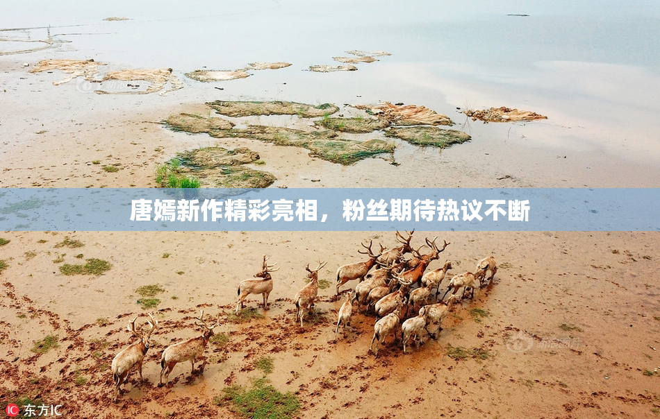 唐嫣新作精彩亮相，粉丝期待热议不断