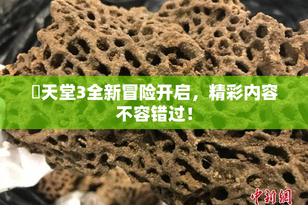 妺天堂3全新冒险开启，精彩内容不容错过！