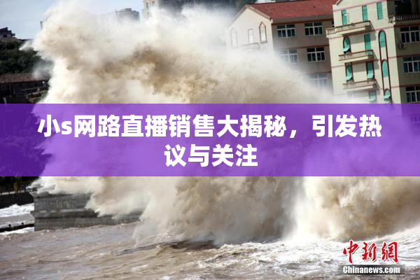 小s网路直播销售大揭秘，引发热议与关注