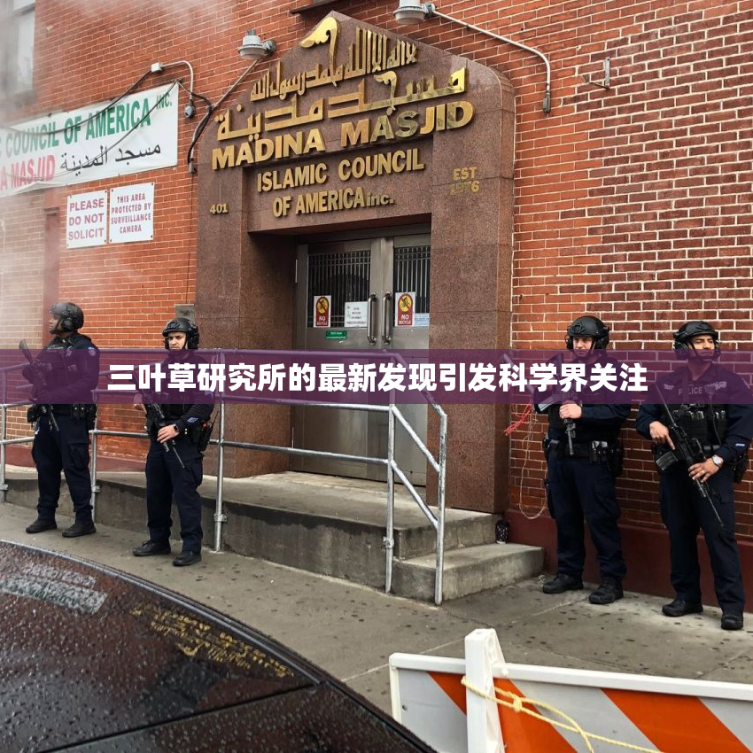 三叶草研究所的最新发现引发科学界关注