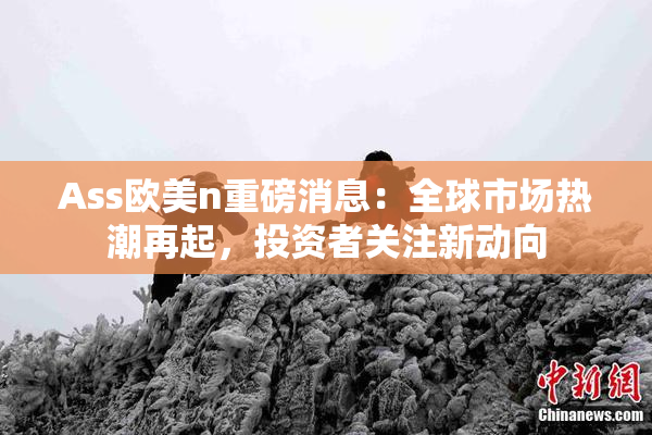 Ass欧美n重磅消息：全球市场热潮再起，投资者关注新动向
