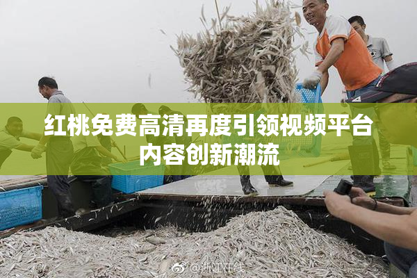红桃免费高清再度引领视频平台内容创新潮流