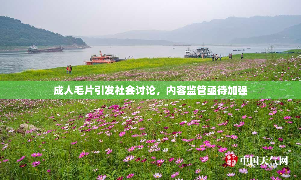 成人毛片引发社会讨论，内容监管亟待加强