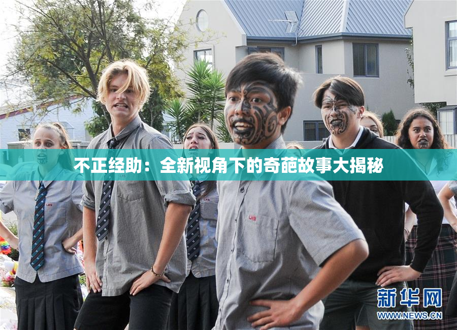 不正经助：全新视角下的奇葩故事大揭秘