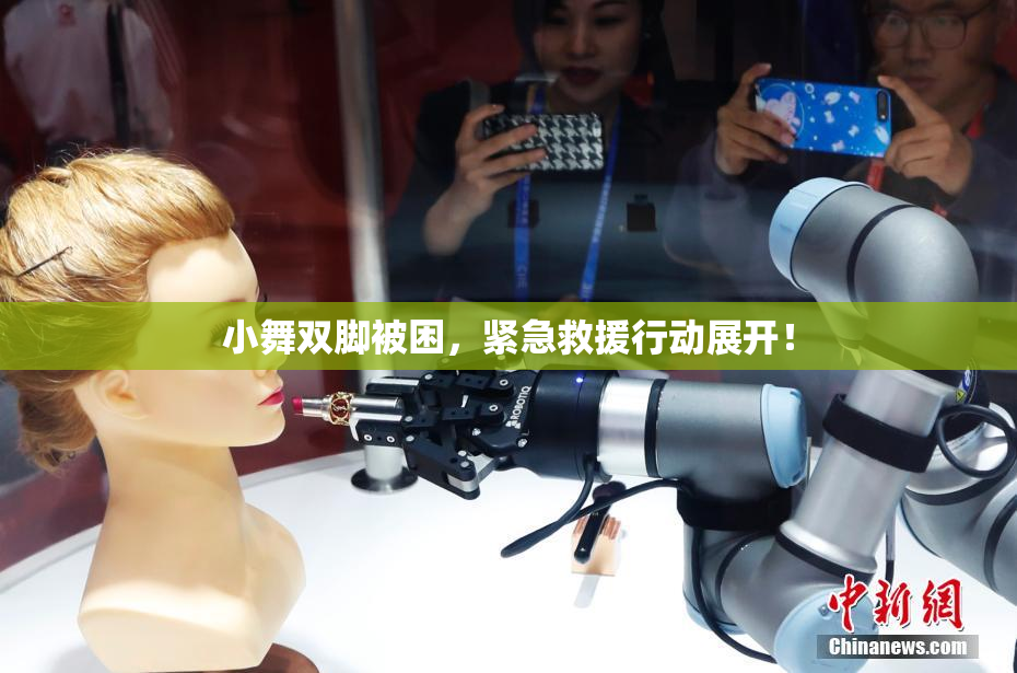 小舞双脚被困，紧急救援行动展开！