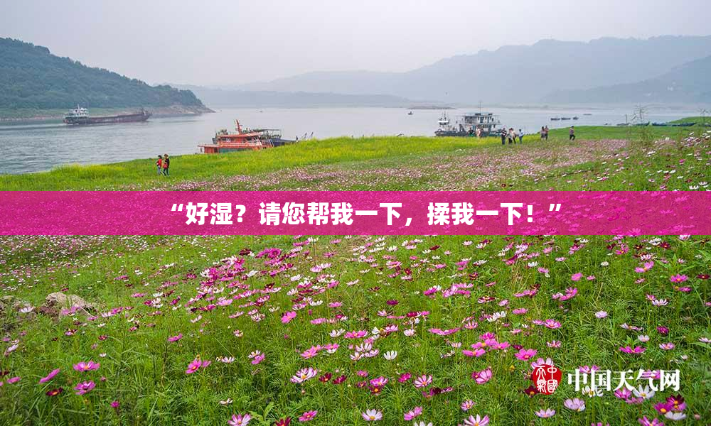 “好湿？请您帮我一下，揉我一下！”
