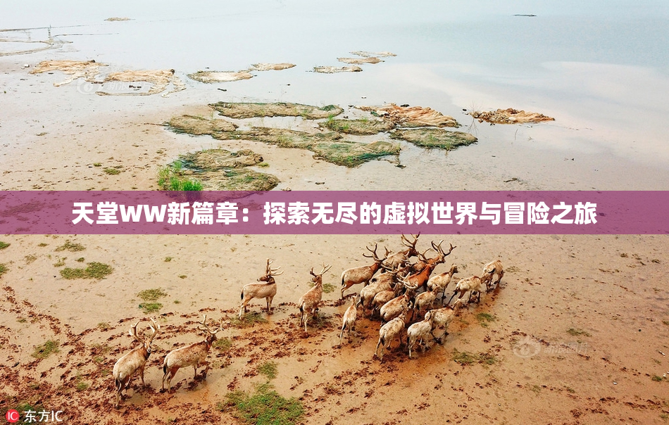 天堂WW新篇章：探索无尽的虚拟世界与冒险之旅