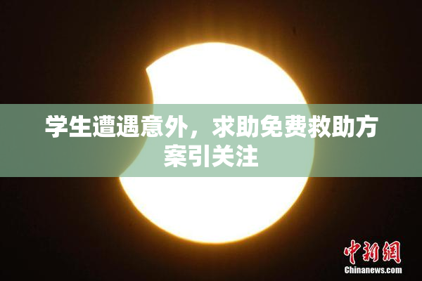 学生遭遇意外，求助免费救助方案引关注